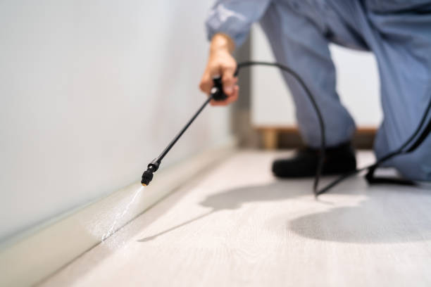 Licensed Rodent Control service in Minnetonka, MN - Nex Pest Control