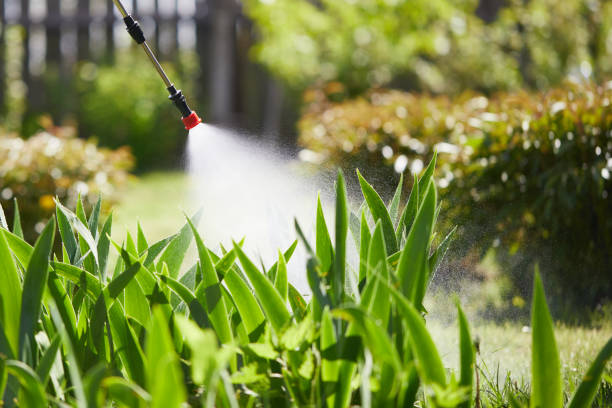 24/7 Emergency Rodent Control experts in Minnetonka, MN