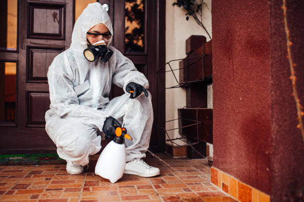 Reliable Rodent Control contractor in Minnetonka, MN by Nex Pest Control