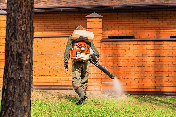 Trusted Termite Control service in Minnetonka, MN - Nex Pest Control
